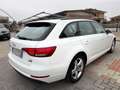 Audi A4 A4 Avant 2.0 TDI 190 CV quattro S tronic Business Bianco - thumbnail 6