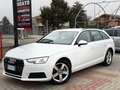 Audi A4 A4 Avant 2.0 TDI 190 CV quattro S tronic Business Bianco - thumbnail 2