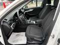 Audi A4 A4 Avant 2.0 TDI 190 CV quattro S tronic Business Bianco - thumbnail 8