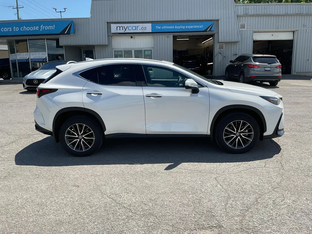 Lexus NX fotografie Lexus NX