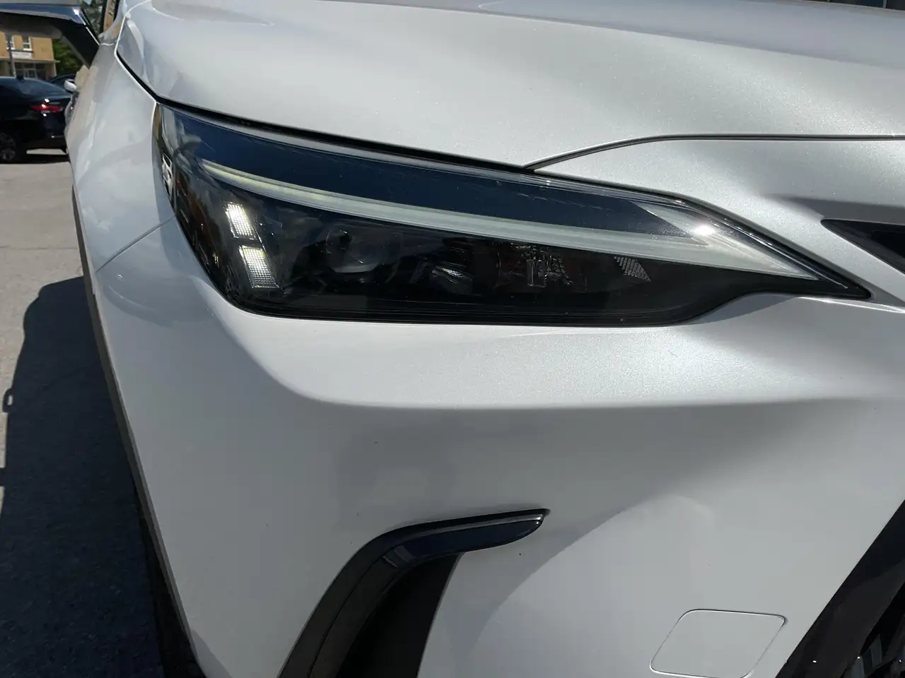 Lexus NX fotografie Lexus NX