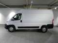 Opel Movano C 2.2 165 (3,5t) L2H2 Edition (verstärkt)*Bott La Alb - thumbnail 2