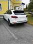 Porsche Cayenne III S Automatik E - Hybrid Platinum Edition - thumbnail 4