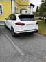 Porsche Cayenne III S Automatik E - Hybrid Platinum Edition - thumbnail 1