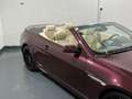 BMW 650 i AC Schnitzer ACS6 Cabrio LCI Aut. *traumhafte... Violett - thumbnail 28