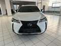 Lexus UX 250h 2.0i FWD Executive Line Blanc - thumbnail 2