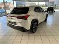 Lexus UX 250h 2.0i FWD Executive Line Blanc - thumbnail 5