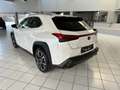 Lexus UX 250h 2.0i FWD Executive Line Blanc - thumbnail 7