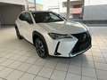 Lexus UX 250h 2.0i FWD Executive Line Blanc - thumbnail 3