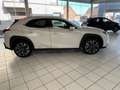 Lexus UX 250h 2.0i FWD Executive Line Blanc - thumbnail 4