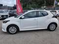 Toyota Yaris Yaris IV 1.5h Business Bianco - thumbnail 3