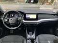 Skoda Octavia Wagon 2.0 tdi evo Style 4x4 150cv dsg Argento - thumbnail 7
