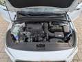 Hyundai i30 i30 Kombi Kombi 1.0 T-GDI Trend Weiß - thumbnail 9
