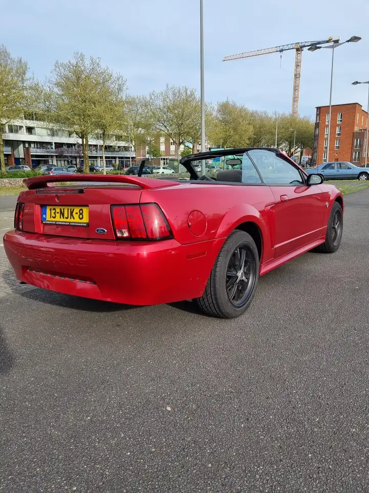 Ford Mustang cabriolet 3.8 v6 Automaat/XENON, foto 3