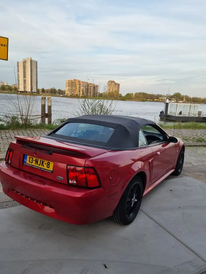 Ford Mustang cabriolet 3.8 v6 Automaat/XENON, foto 6