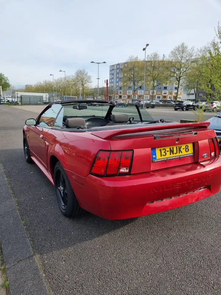 Ford Mustang cabriolet 3.8 v6 Automaat/XENON, foto 2