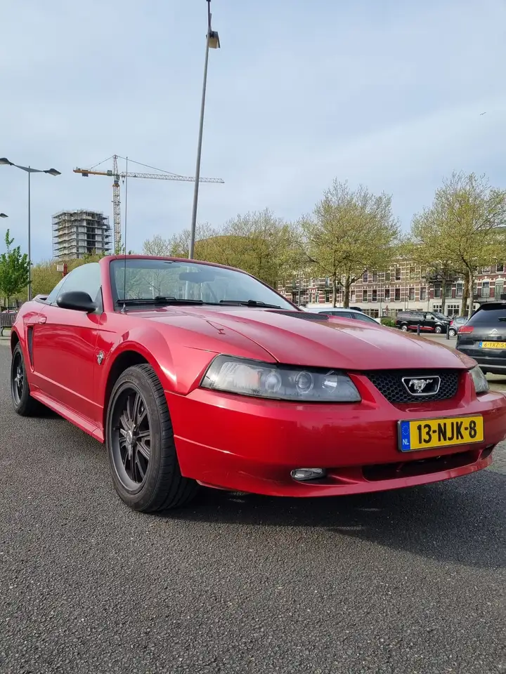 Ford Mustang cabriolet 3.8 v6 Automaat/XENON, foto 5
