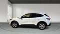 Ford Kuga 1.5 TDCI 88KW TREND 2WD 120 5P Blanco - thumbnail 7