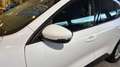 Ford Kuga 1.5 TDCI 88KW TREND 2WD 120 5P Blanco - thumbnail 21