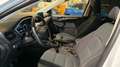 Ford Kuga 1.5 TDCI 88KW TREND 2WD 120 5P Blanco - thumbnail 11