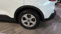 Ford Kuga 1.5 TDCI 88KW TREND 2WD 120 5P Blanco - thumbnail 10