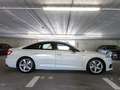 Audi A6 Lim 45 TFSI qu S line AHK Matrix virtCo 360° Weiß - thumbnail 8