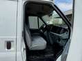 Ford Transit Kasten Turneo City Light Weiß - thumbnail 11