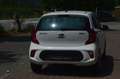 Kia Picanto 1,0 MPI+Klima+SHZ+ Weiß - thumbnail 5