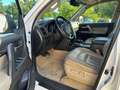 Toyota Land Cruiser Weiß - thumbnail 5
