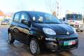 Fiat Panda 4x2 FireFly Hybrid 70 Pop Schwarz - thumbnail 3