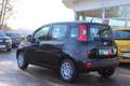 Fiat Panda 4x2 FireFly Hybrid 70 Pop Schwarz - thumbnail 5