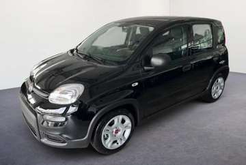 4x2 FireFly Hybrid 70 Pop