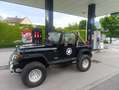 Jeep Wrangler Hard Top 2.5 - thumbnail 5