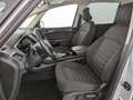 Ford Galaxy 2.0 EcoBlue 150 CV Start&Stop Aut. Titanium Argento - thumbnail 5