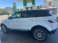 Land Rover Range Rover Evoque Range Rover Evoque NEUE PICKERL NEUE SERVICE Weiß - thumbnail 6