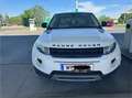 Land Rover Range Rover Evoque Range Rover Evoque NEUE PICKERL NEUE SERVICE Weiß - thumbnail 1