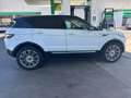 Land Rover Range Rover Evoque Range Rover Evoque NEUE PICKERL NEUE SERVICE Weiß - thumbnail 5