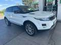 Land Rover Range Rover Evoque Range Rover Evoque NEUE PICKERL NEUE SERVICE Weiß - thumbnail 3