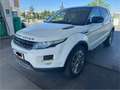 Land Rover Range Rover Evoque Range Rover Evoque NEUE PICKERL NEUE SERVICE Weiß - thumbnail 2