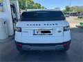 Land Rover Range Rover Evoque Range Rover Evoque NEUE PICKERL NEUE SERVICE Weiß - thumbnail 7