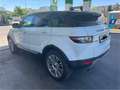 Land Rover Range Rover Evoque Range Rover Evoque NEUE PICKERL NEUE SERVICE Weiß - thumbnail 4