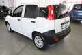 Fiat Panda 1.2 Pop Van 2 posti + IVA 22% Bianco - thumbnail 4