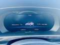 Volkswagen Tiguan 2.0 tdi Executive 150cv dsg.UNICO PROPRIETARIO - thumbnail 8