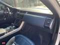 Land Rover Range Rover Sport 3.0 SDV6 249 CV HSE DYNAMIC Blanc - thumbnail 10