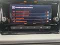 SEAT Ibiza Reference Edition 1.0 TSI Rot - thumbnail 14