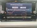 SEAT Ibiza Reference Edition 1.0 TSI Rot - thumbnail 15