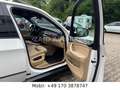 BMW X5 xDrive30d M Paket *Head-Up*PANO*360°KA*2HAND Weiß - thumbnail 17