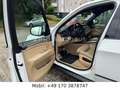 BMW X5 xDrive30d M Paket *Head-Up*PANO*360°KA*2HAND Weiß - thumbnail 16