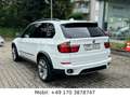 BMW X5 xDrive30d M Paket *Head-Up*PANO*360°KA*2HAND Weiß - thumbnail 7