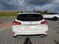 Ford Focus Focus 2.0 EcoBlue Start-Stopp-System ACTIVE Blanc - thumbnail 14